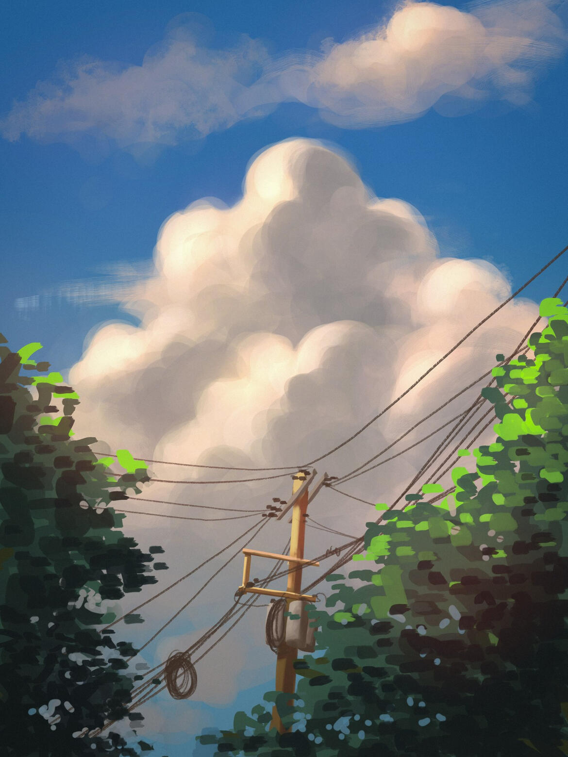 Study